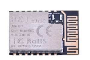 Ai-Thinker BW16 Dual-Band Wi-Fi Bluetooth 5.0 RTL8720DN Wireless Module
