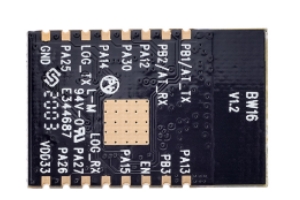 Ai-Thinker BW16 Dual-Band Wi-Fi + Bluetooth 5.0 Module | RTL8720DN Wireless Module - Image 3