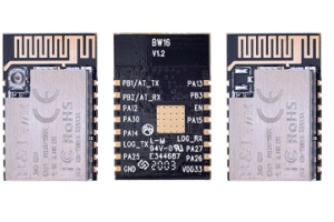 Ai-Thinker BW16 Dual-Band Wi-Fi + Bluetooth 5.0 Module | RTL8720DN Wireless Module - Image 4