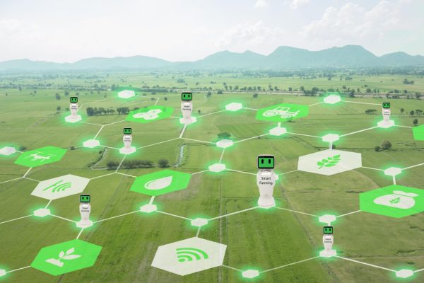 smart agriculture